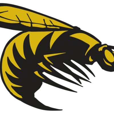 AR BEE 49 RC Thumbnail