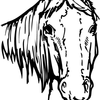 HORSE004 Thumbnail