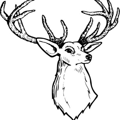 DEER008 Thumbnail