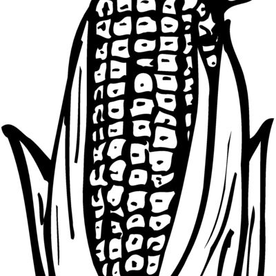 GRAIN013 Thumbnail