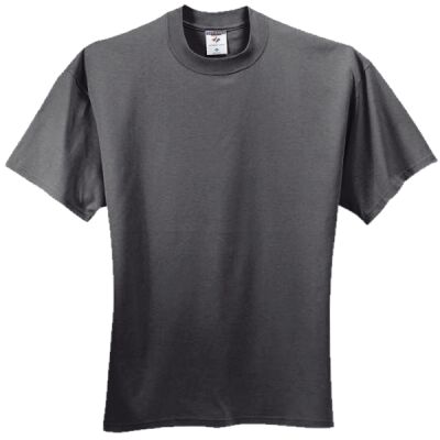 HiDensi T 100% Cotton T Shirt Thumbnail
