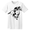 ComfortSoft® Heavyweight 100% Cotton T Shirt Thumbnail