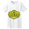 ComfortSoft® Heavyweight 100% Cotton T Shirt Thumbnail