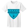 ComfortSoft® Heavyweight 100% Cotton T Shirt Thumbnail