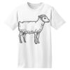 ComfortSoft® Heavyweight 100% Cotton T Shirt Thumbnail