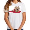 Ladies Essential T Shirt Thumbnail