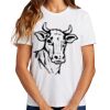 Ladies Essential T Shirt Thumbnail