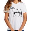 Ladies Essential T Shirt Thumbnail