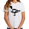 Ladies Essential T Shirt Thumbnail