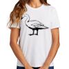 Ladies Essential T Shirt Thumbnail
