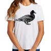 Ladies Essential T Shirt Thumbnail