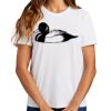 Ladies Essential T Shirt Thumbnail