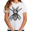 Ladies Essential T Shirt Thumbnail