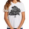 Ladies Essential T Shirt Thumbnail