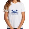 Ladies Essential T Shirt Thumbnail