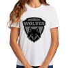 Ladies Essential T Shirt Thumbnail