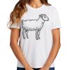 Ladies Essential T Shirt Thumbnail