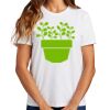 Ladies Essential T Shirt Thumbnail