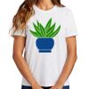 Ladies Essential T Shirt Thumbnail