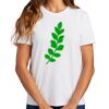 Ladies Essential T Shirt Thumbnail