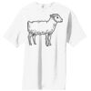 Essential T Shirt Thumbnail