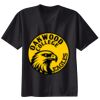 Ladies Nano T® Cotton T Shirt Thumbnail