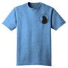 Young Mens Tri Blend Crew Neck Tee Thumbnail